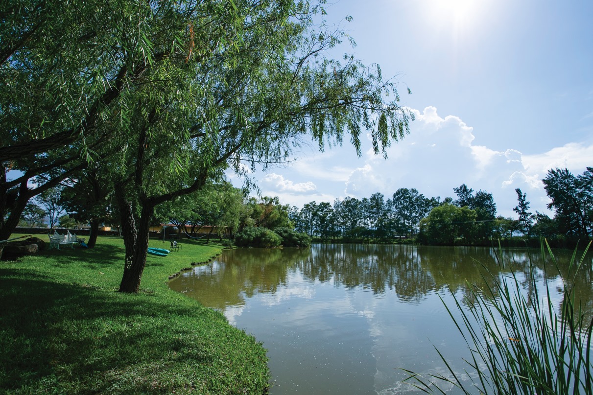 Hacienda Labor de Rivera 8