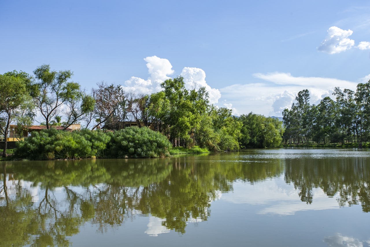 Hacienda Labor de Rivera 9